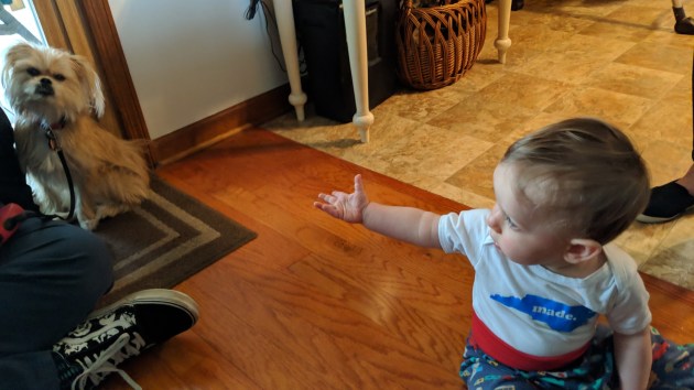 MVIMG_20190317_120152