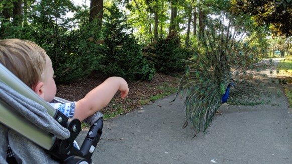 mvimg_20190525_111735