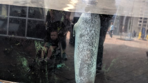 mvimg_20190627_153218