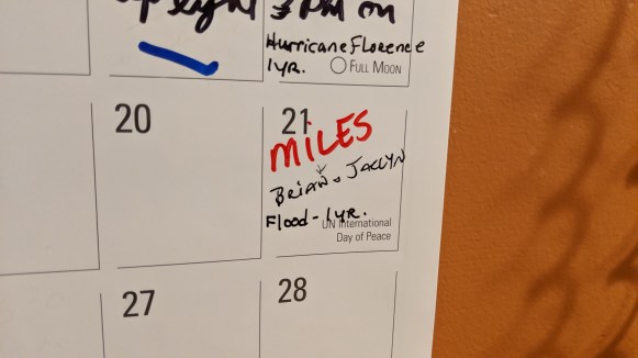 mvimg_20190920_234855