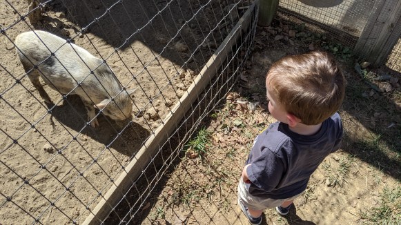 mvimg_20191012_133058