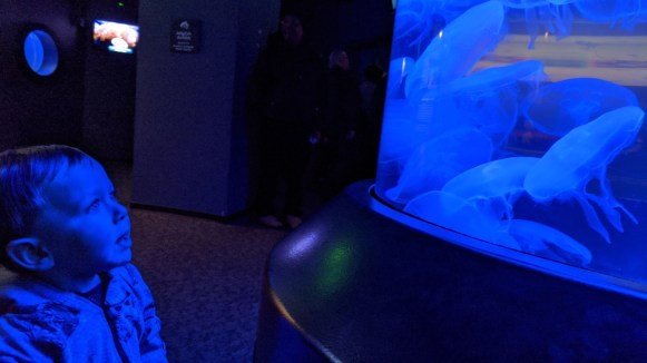 mvimg_20200120_125437